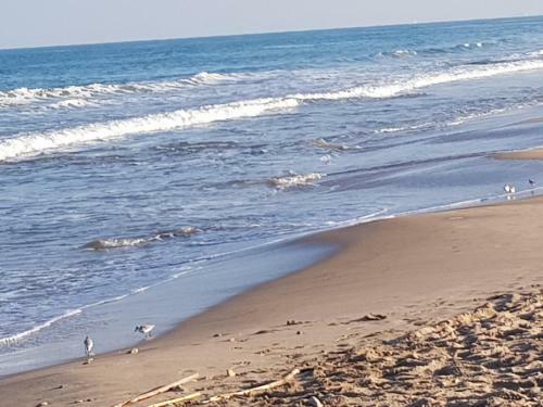 Exclusive Apartment - Playa de Marenys de Rafalcaid