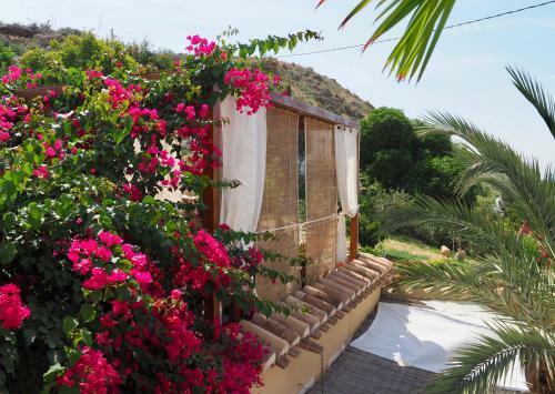 Bed & Breakfast Separates Dachterrassen-zimmer Mit Privatpool
