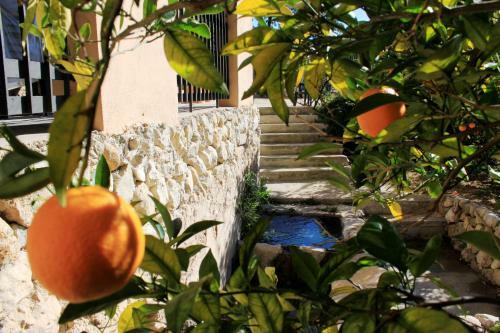 Agroturismo El Molinet Del Governador