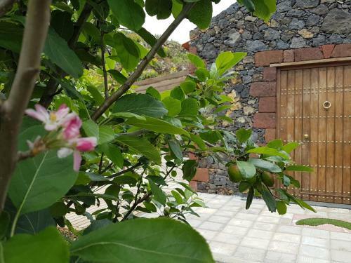 Finca La Sabina
