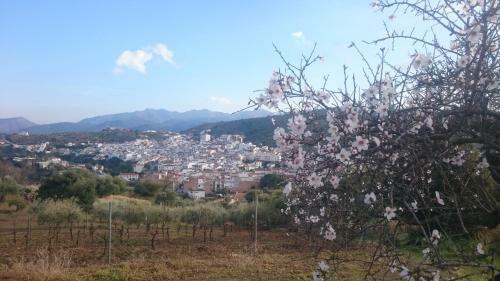 Apartamento Nido Aguila Blanca