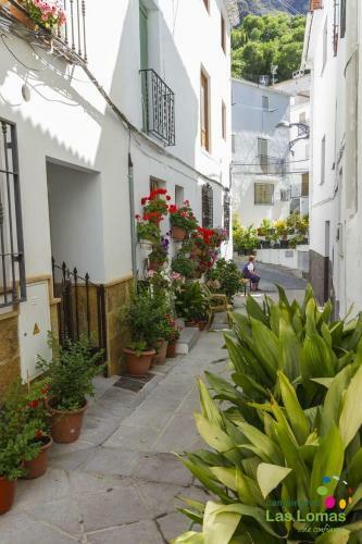 Apartamento Vivienda En El Centro de Guejar Sierra