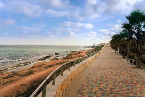 Apartamento Oliva