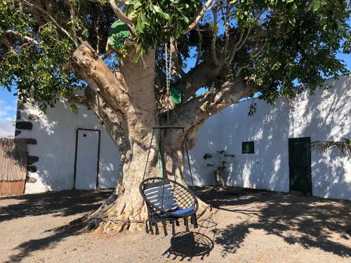 Finca Los Llanitos