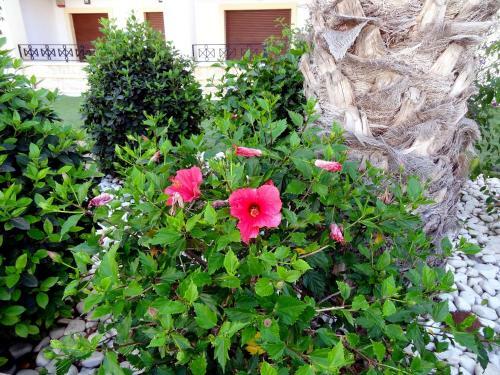 Guardamar Hill Sea View Apartment