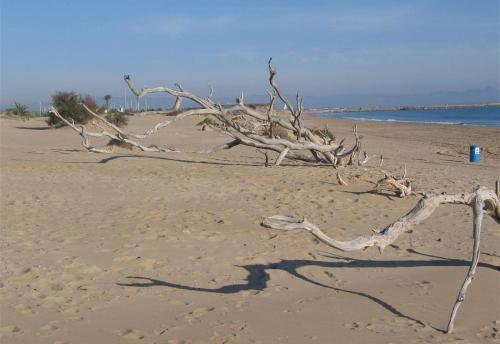 Beach House Guardamar Playa