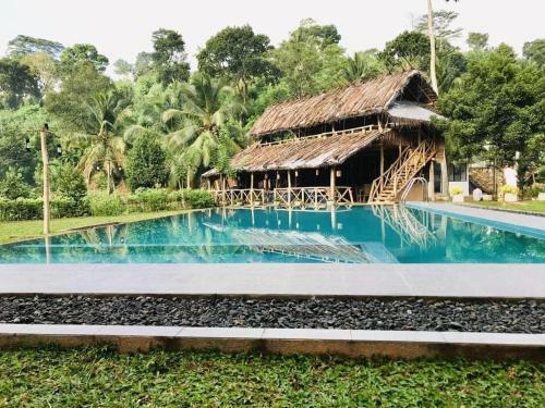 Hotel Tea Garden Eco Villas