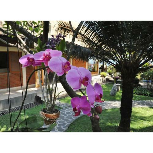 The Ning Beach Front Villa