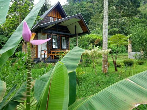 Lodge Canyon Jungle Stay