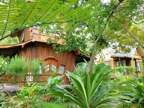 Lodge Canyon Jungle Stay