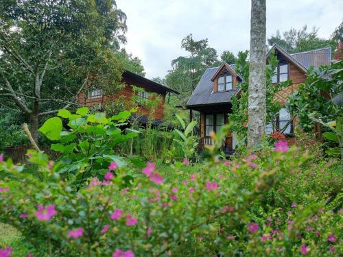 Lodge Canyon Jungle Stay