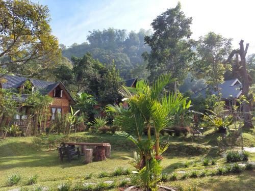 Lodge Canyon Jungle Stay