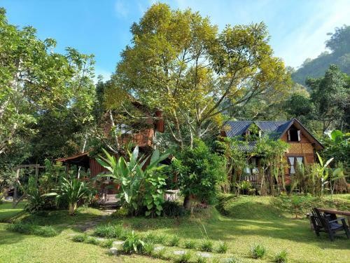 Lodge Canyon Jungle Stay