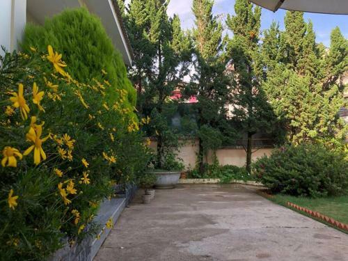 Th�ng Villa Da Lat