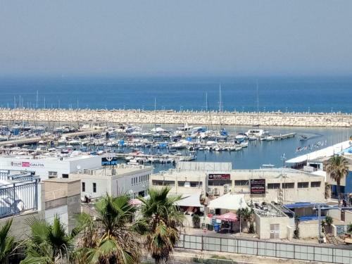 Apartamento Angel Suite In Marina Ashklon