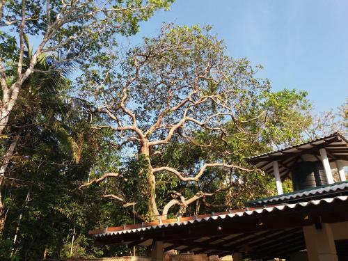 Hostal Cashew Villa Hiriketiya