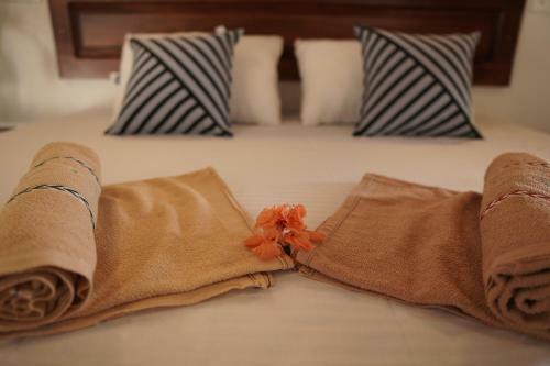 Hotel Surf Nest Hiriketiya