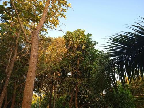 Hostal Green Garden Hiriketiya
