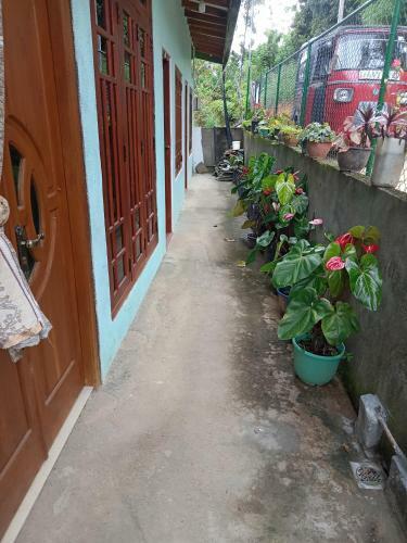 Hostal Nazeera Guest