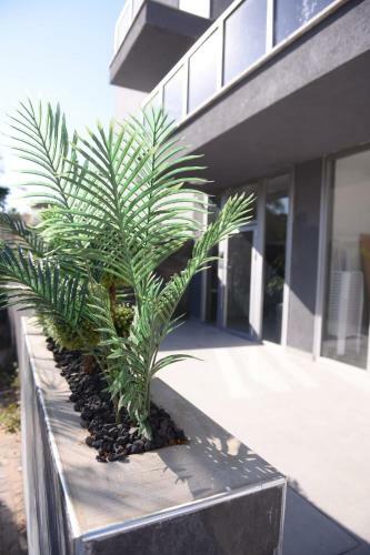Apartamento ??? ????? - ??? ????
