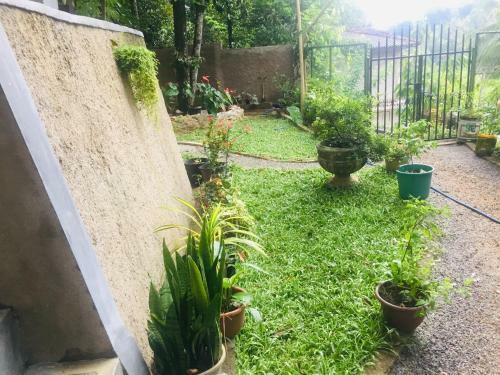 Hostal New Toropi Homestay
