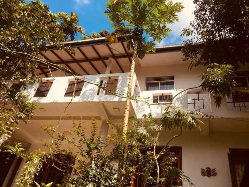 Hostal New Toropi Homestay