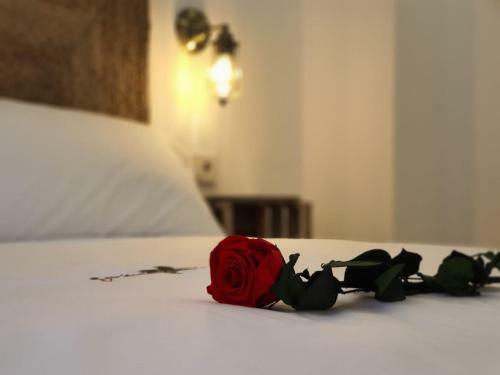 Granaxperience Apartamentos La Maleta