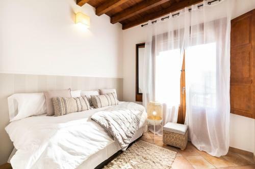 Apartamento Junto Al Albaic�n Con Terraza