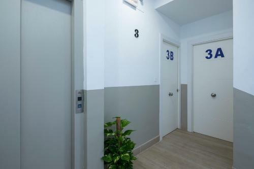 Aloja2 Apartamentos