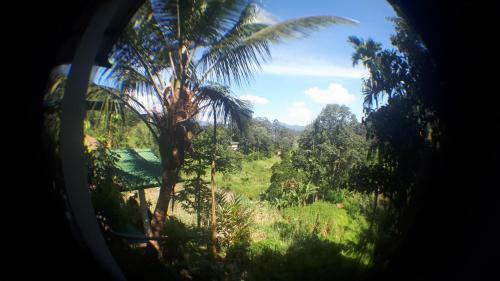 New Farmers Paradise