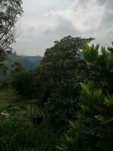 Hostal Whiteflowerhomestayella