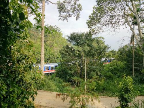 Sri Bhavan Ella