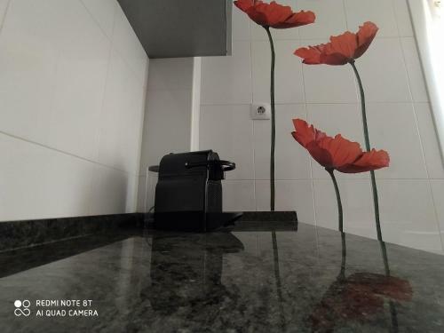 Apartamento En El Coraz�n Del Mazo