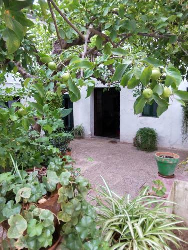 Agroturismo Las Jimenas
