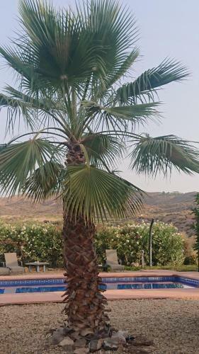 Bed & Breakfast Casa Rural Mas Solana