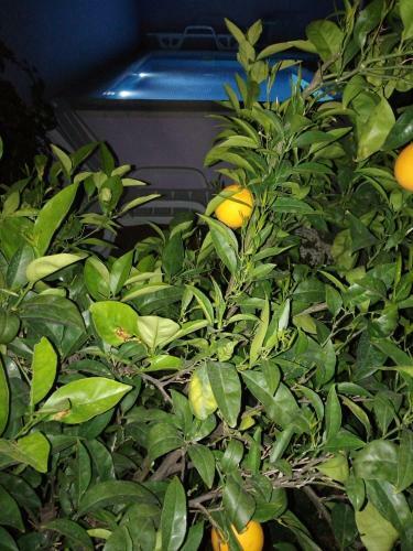 Agroturismo La Casita de Mar�a