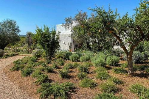 Villa Charming Countryside House In Ibiza