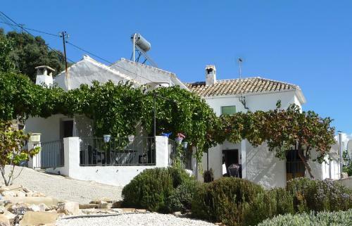Casa Del Pino