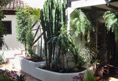 Apartamento Aptos Monasterio de San Antonio 3