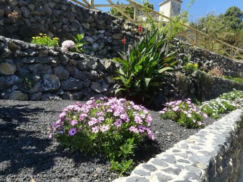 Agroturismo Casas Rurales Los Guinderos