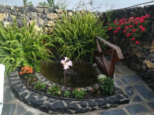 Agroturismo Casas Rurales Los Guinderos