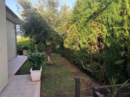 Bellviure Luxury Villa