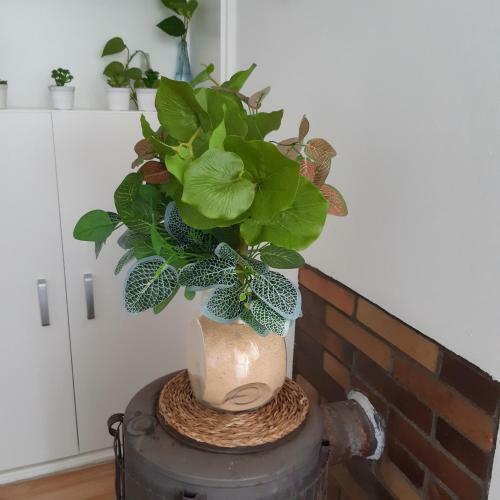 Apartamento Avda San Juan Bosco 21 �tico A