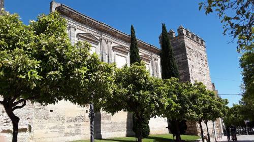 Apartamento Sherryflat Fate