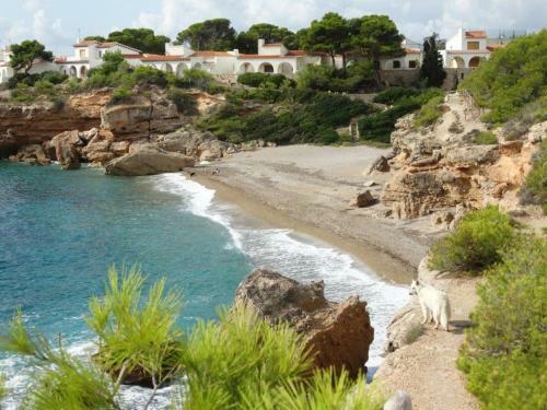 Meier's