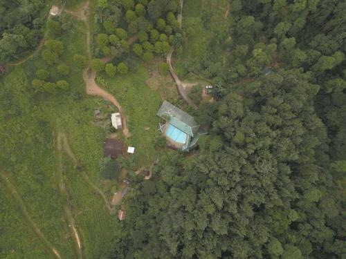 Forest Edge Hotel