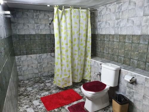 Apartamento Odibat Studioes
