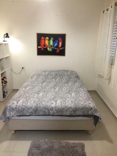 Apartamento ??? ????