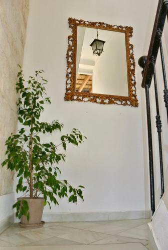 Apartamento Casa M�a