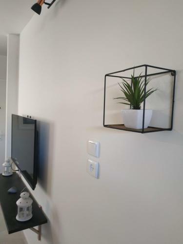 Apartamento The-home-away-from-home